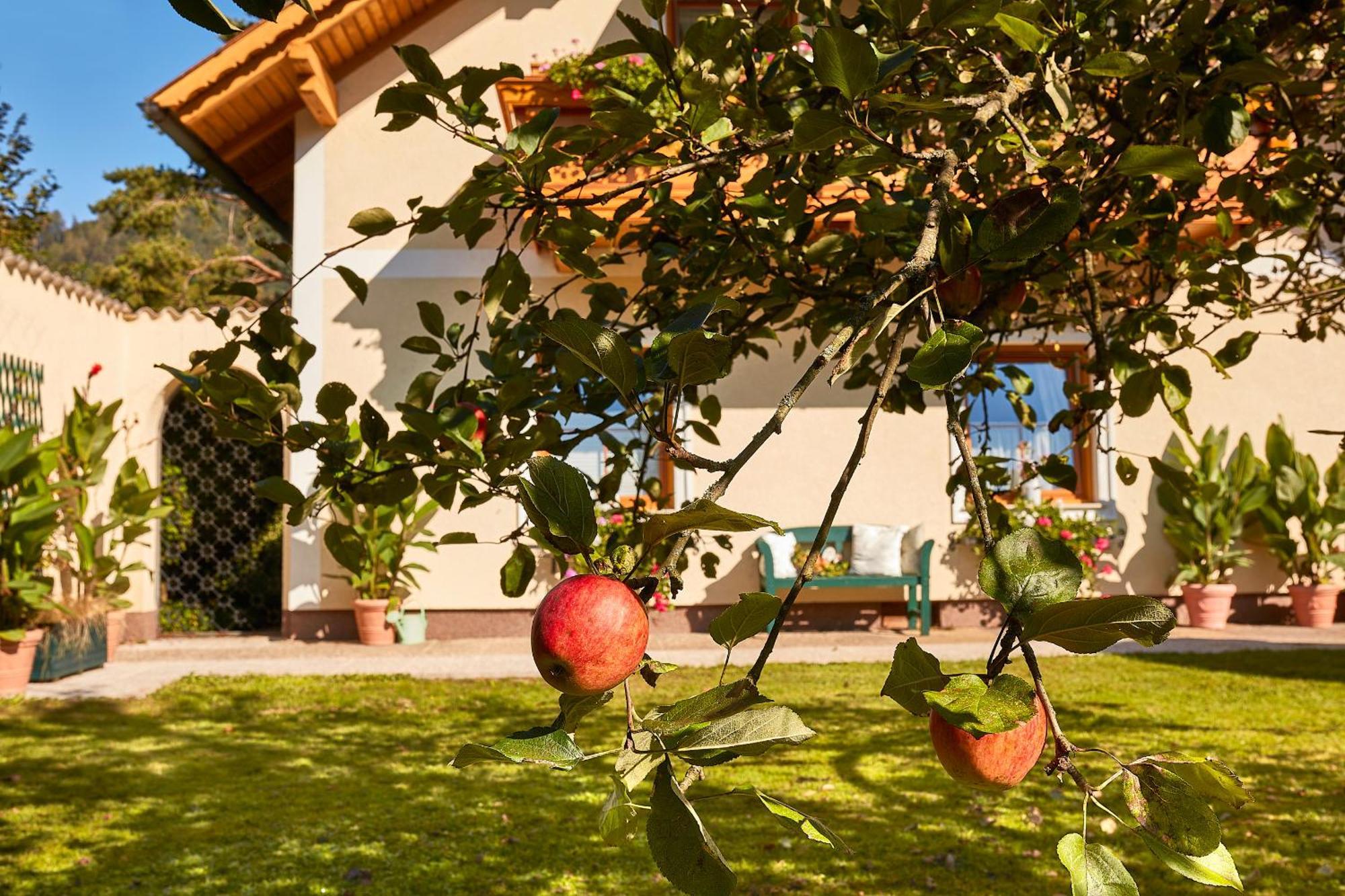 Ferienhaus Zur Maultrommel Molln Bagian luar foto